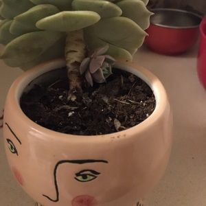 Meet your Posher, J lea